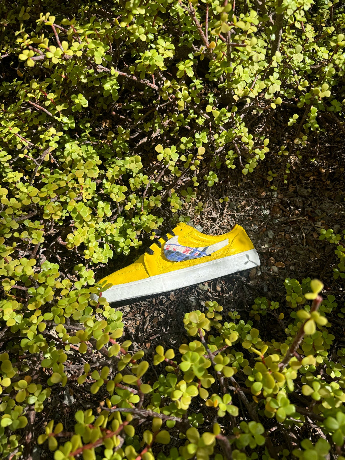 Golden Buzz (Repurposed from Dumpster)